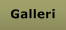 Galleri