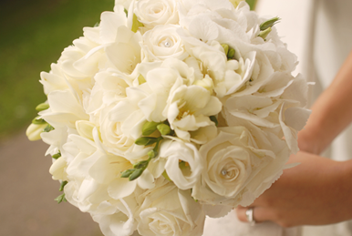 vita-rosor_vit-hortensia_freesia.JPG vita-rosor_vit-hortensia_freesia.JPG