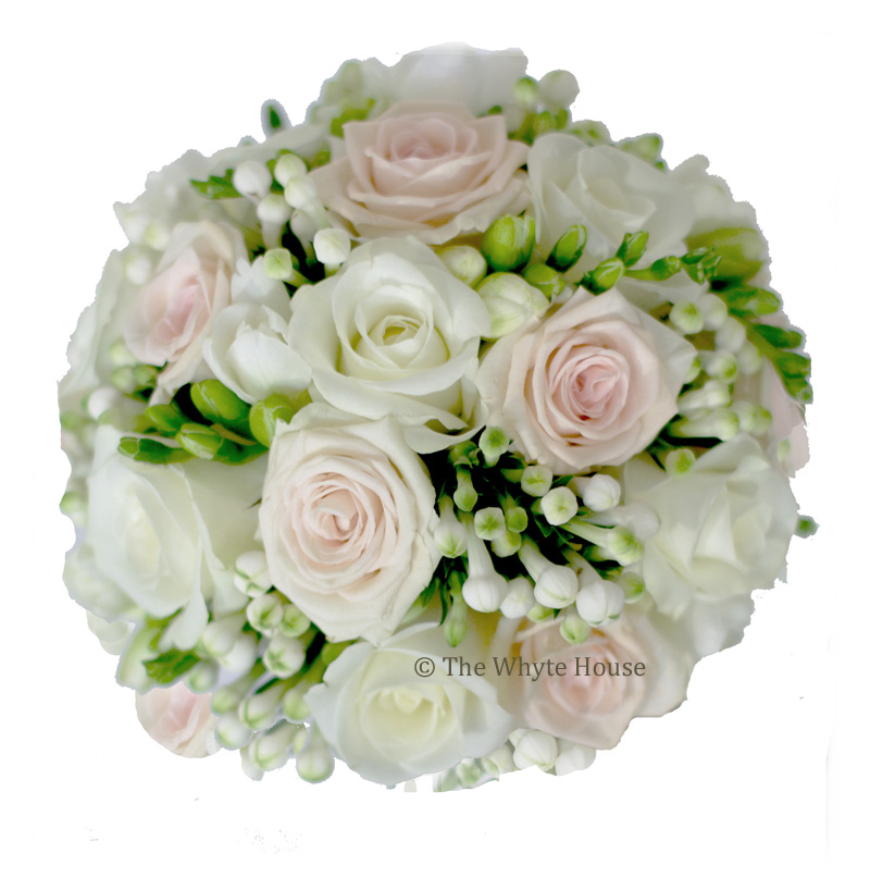 blekrosavit_lime blekrosavit_lime