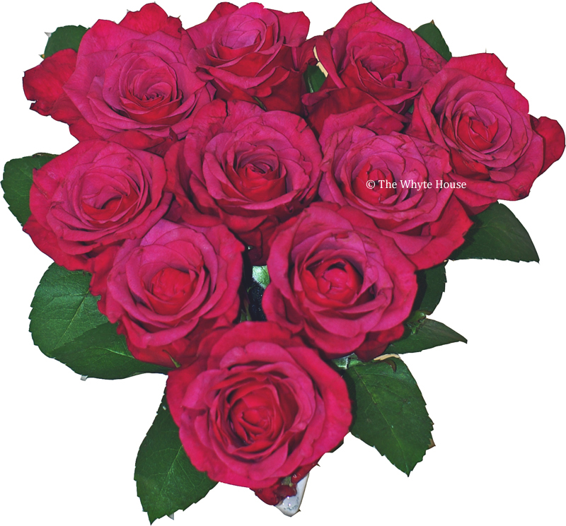 cerise_hjart cerise_hjart