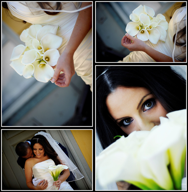 collage collage