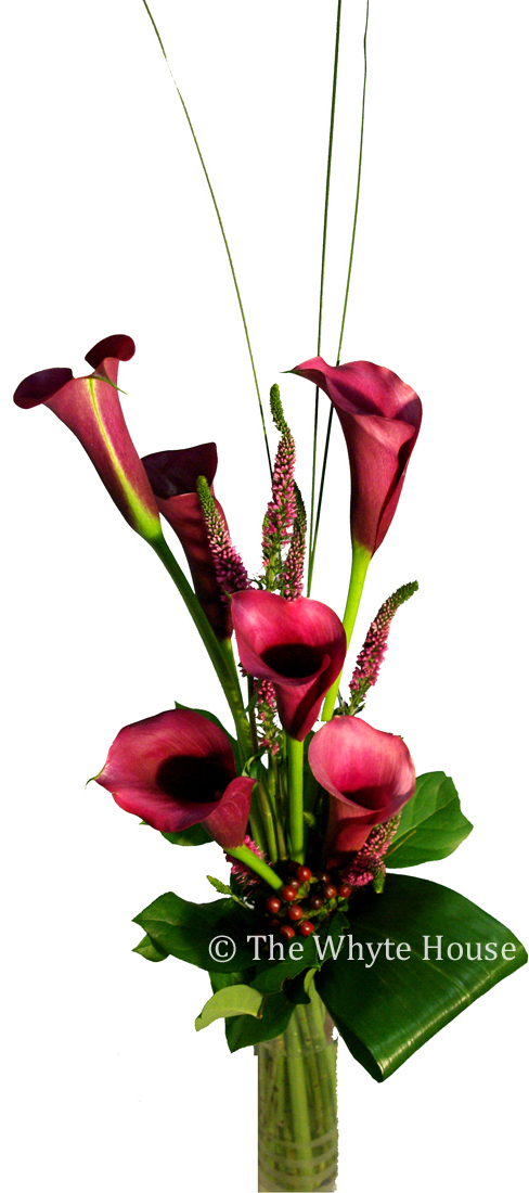 kallor_cerise kallor_cerise