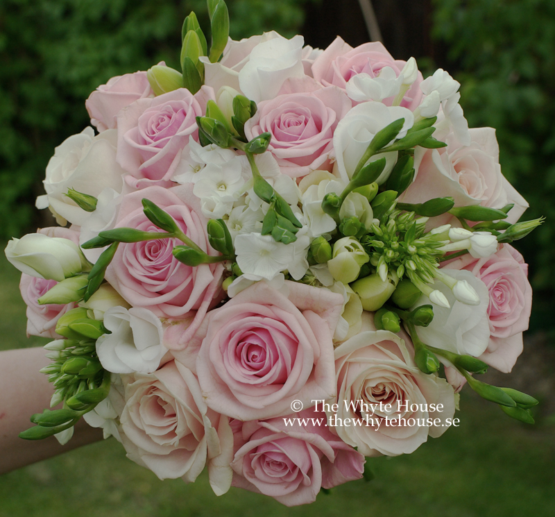 romantisk_gammelrosa_blekrosa_rosor romantisk_gammelrosa_blekrosa_rosor