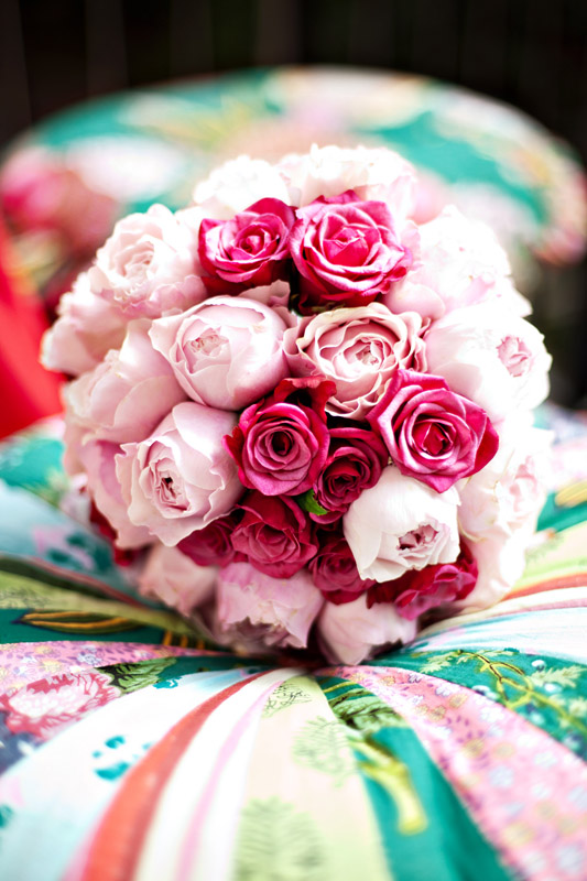 rosa_cerisarosor rosa_cerisarosor