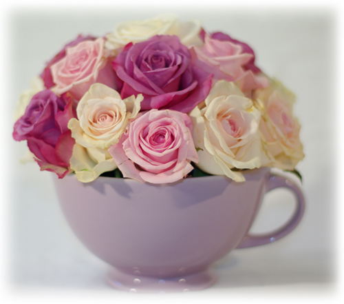 rosmugg1 rosmugg1
